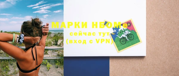 гашик Алексин