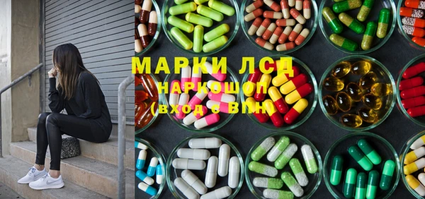 гашик Алексин
