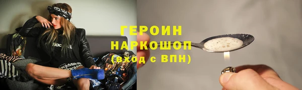 гашик Алексин