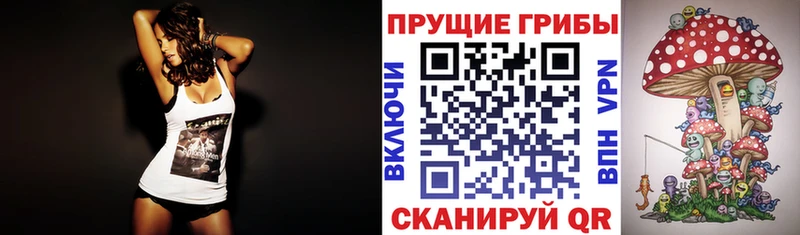 Псилоцибиновые грибы GOLDEN TEACHER  мориарти телеграм  Сочи  где купить наркоту  hydra ССЫЛКА 